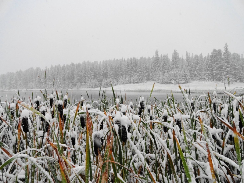 Black-Hills-SD/800x600_Black Hills early winter Sep 12.jpg